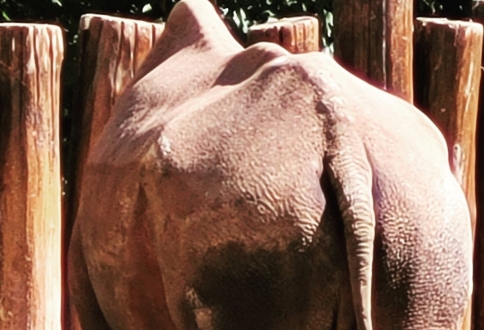 photo_2025-09-05_16-09-10