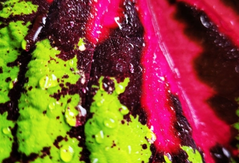 photo_2025-09-05_16-09-29